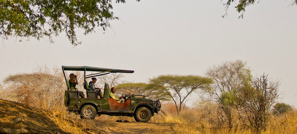 Sdtanzania, Safari in Afrika