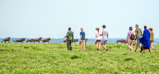 Besuch einer Reisegruppe in der Serengeti