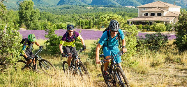 Als Bikeguide im Domaine du Frigoulet