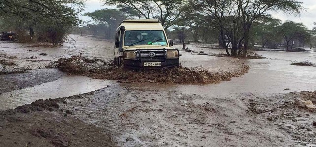 Tanzania Naturreise mit Dominik Abt