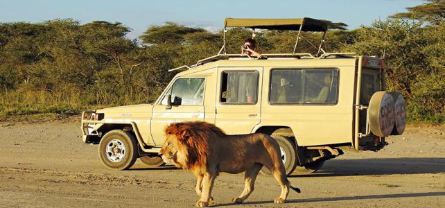 Fuss-Safari in der Serengeti, Tanzania