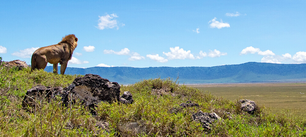 Nordtanzania Naturreise