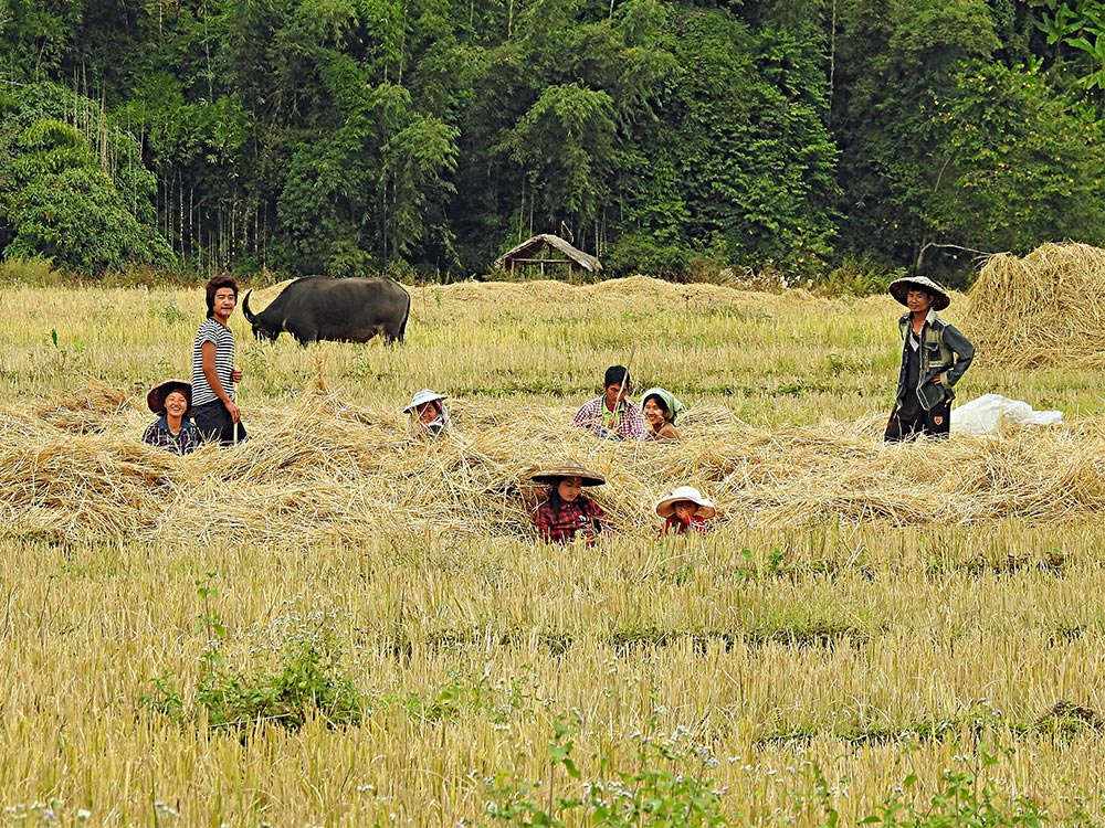 Myanmar Trekking