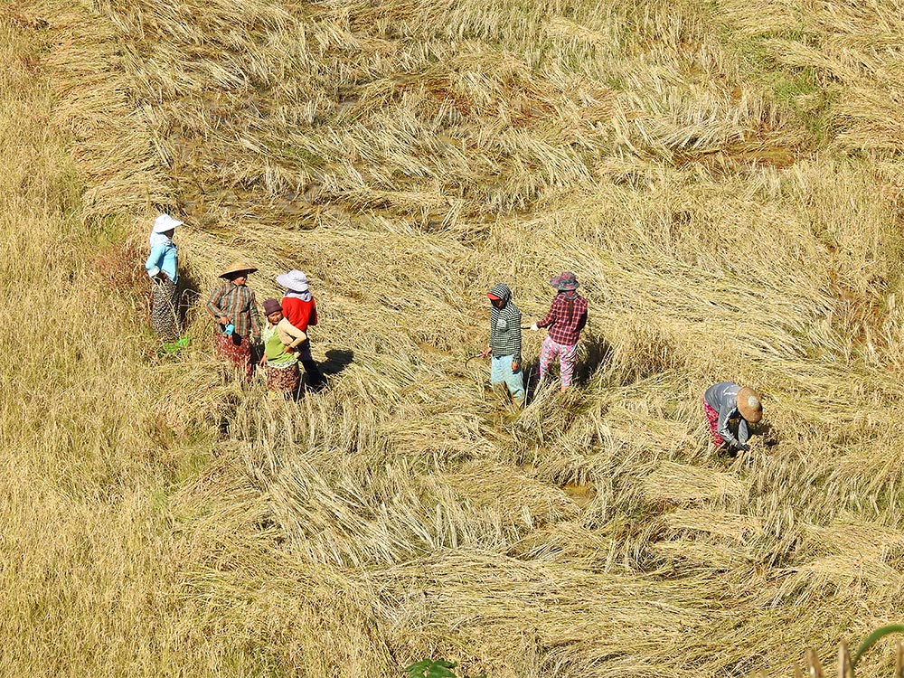 Myanmar Trekking