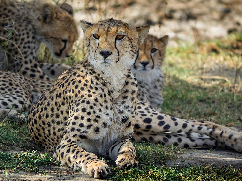 Fusssafari in Tanzania