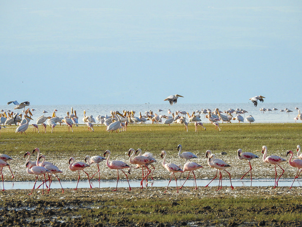 Lake Manyara