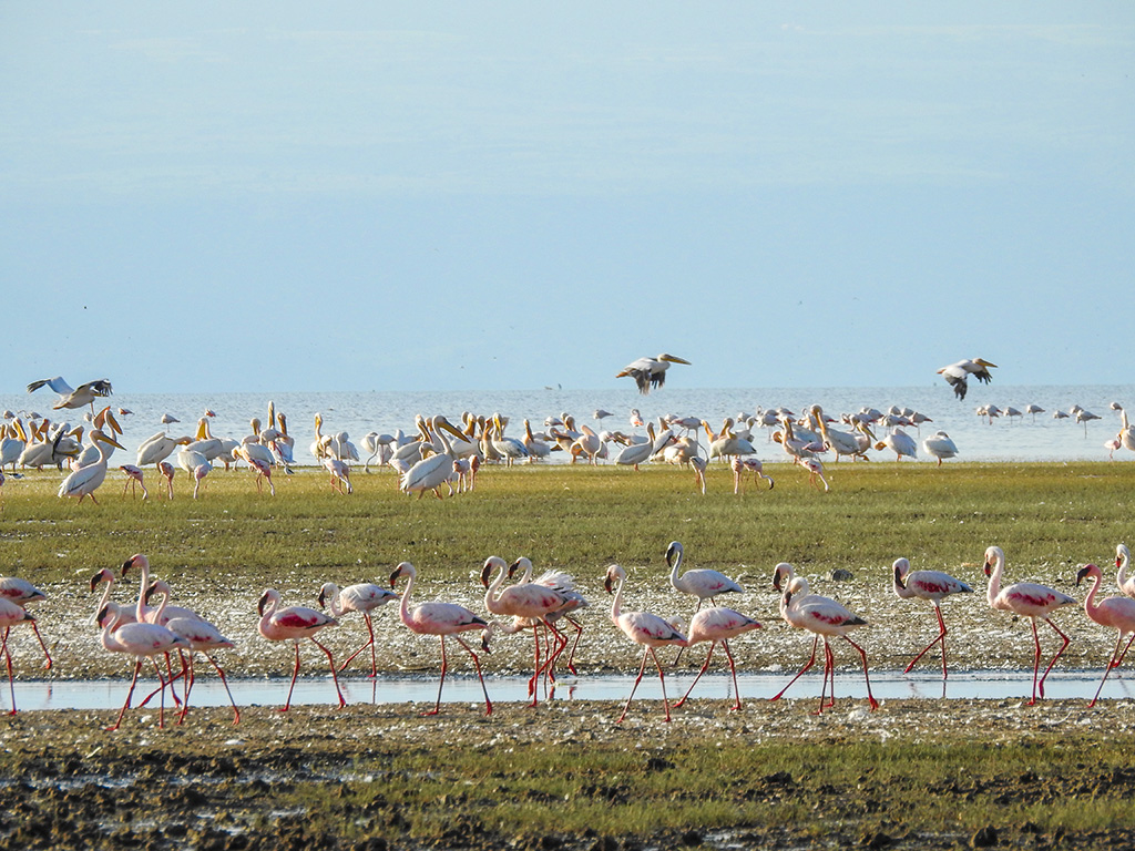 Lake Manyara
