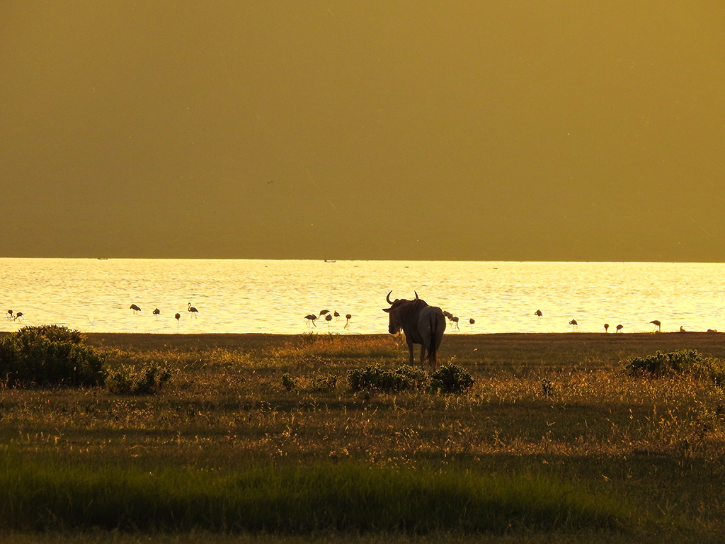 Lake Manyara