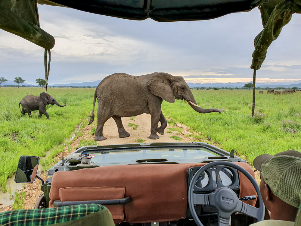 Mikumi Nationalpark