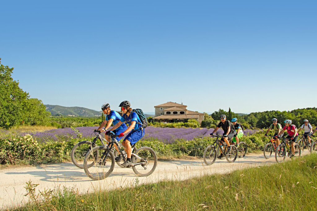 Bikegruppe im Domaine du Frogoulet