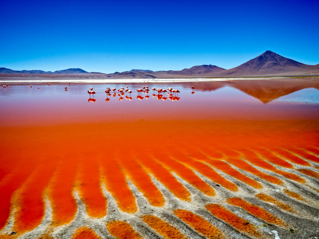 Chile Bolivien Roter See mit Flamingos