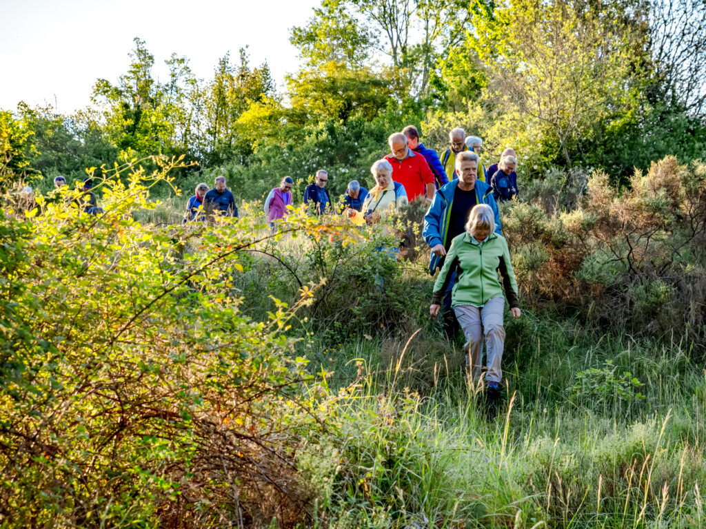 Menschen wandern im Naturpark