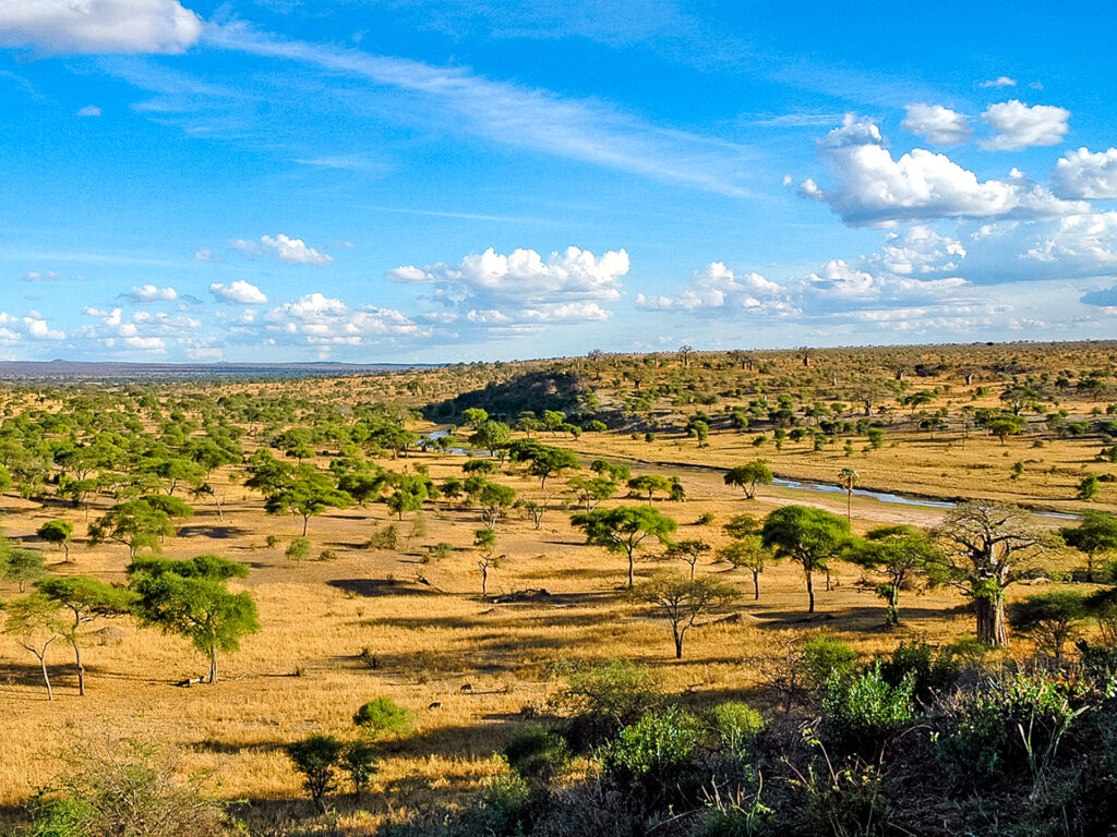 Panorama Tarangire Nationalpark