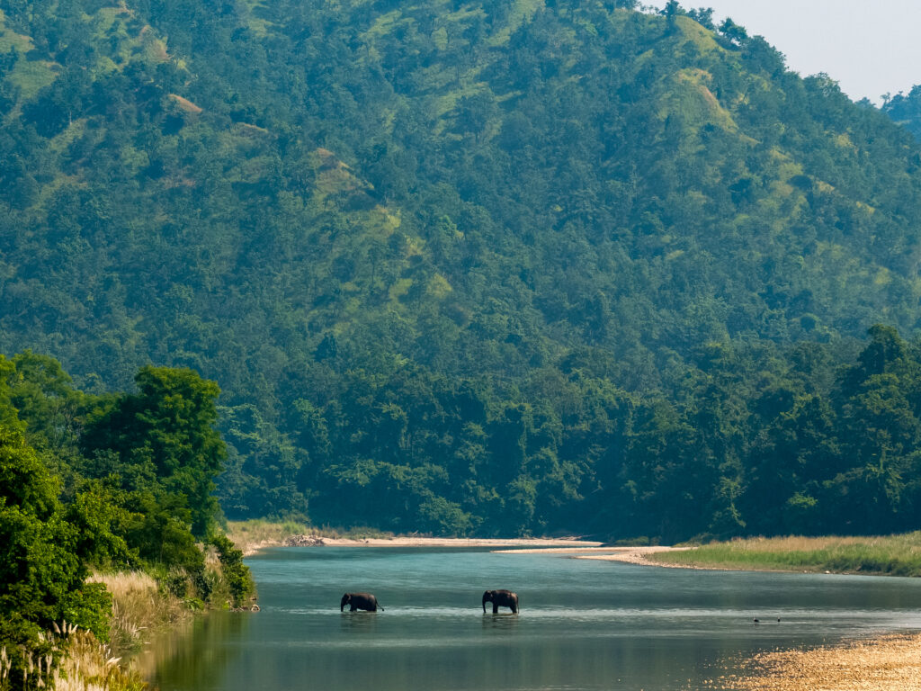 2 Elefanten die einen Fluss überqueren
