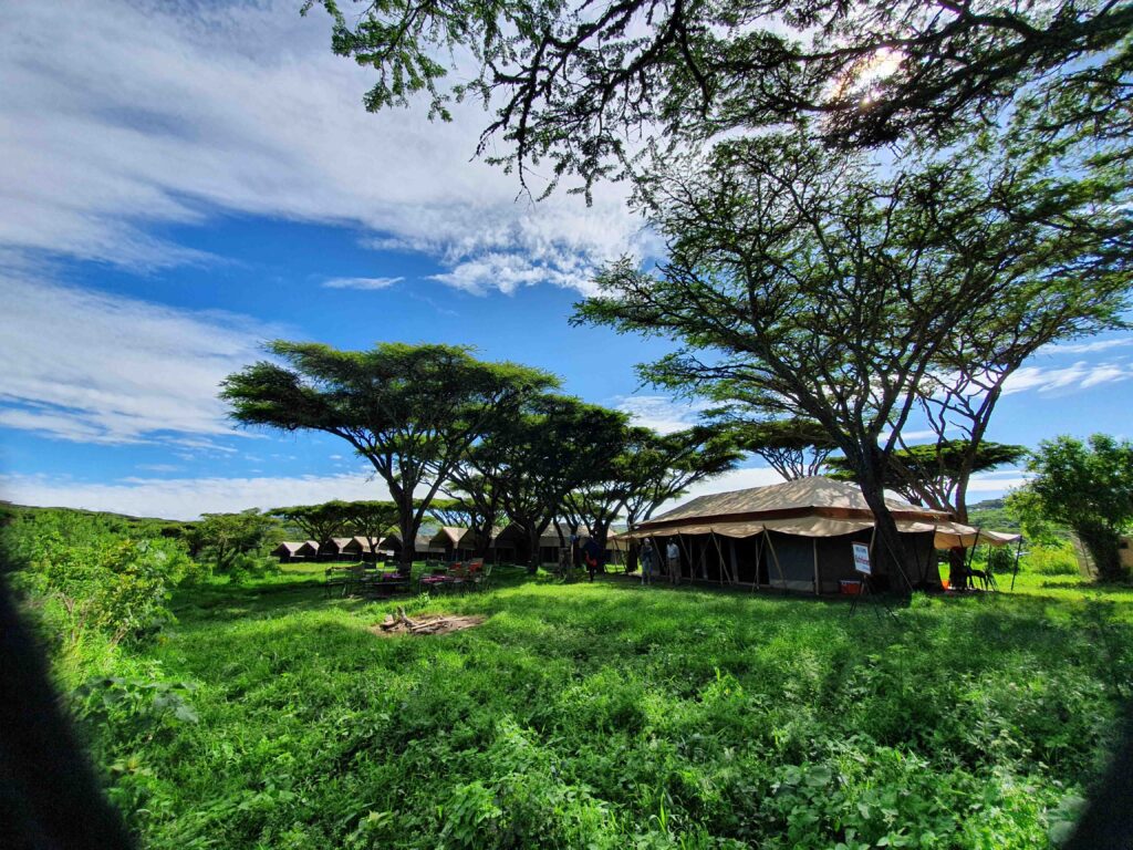 Lodge in der grünen Safari