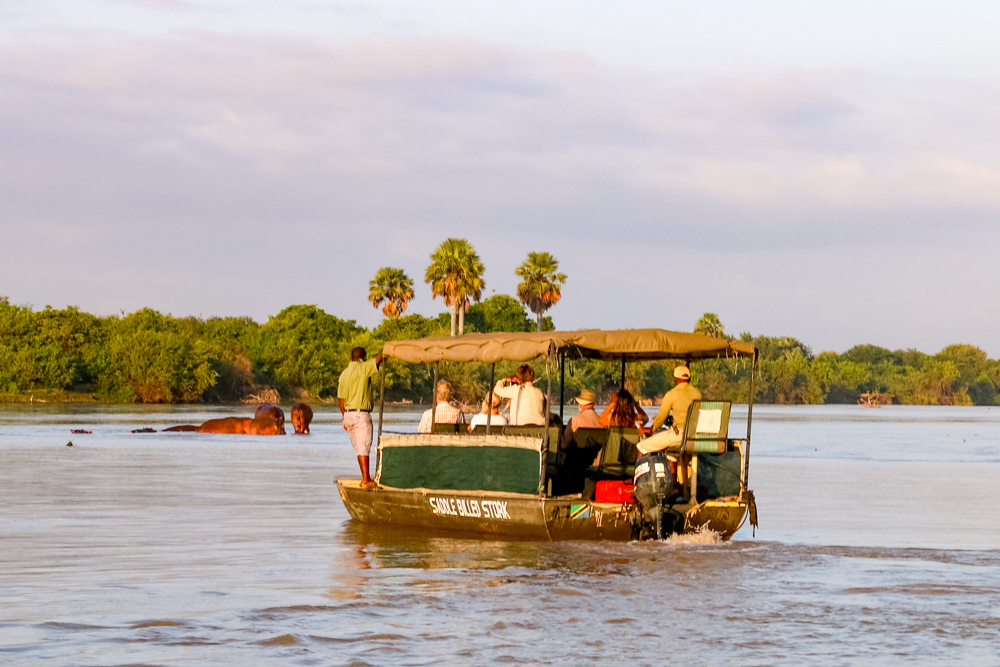 Boot mit Nilpferden im Hintergrund